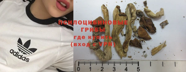 PSILOCYBIN Аркадак