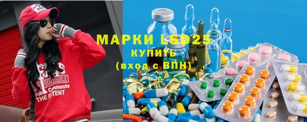 PSILOCYBIN Аркадак